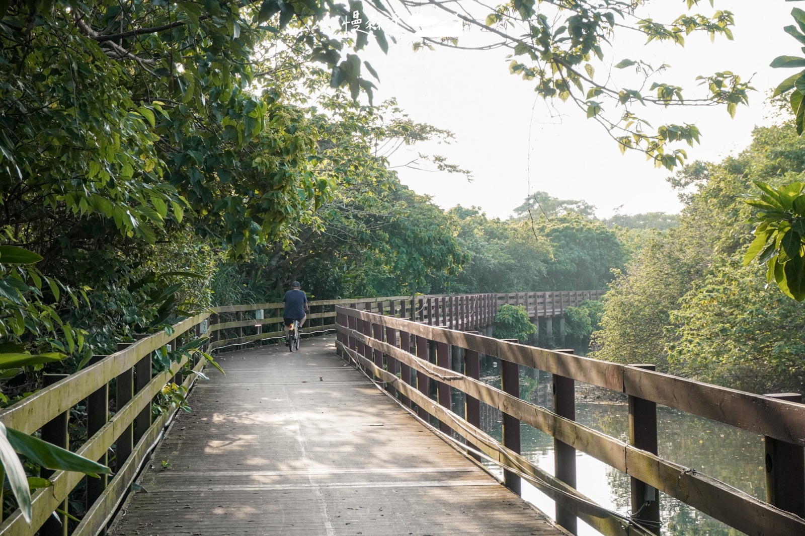 台北市北投區 舊雙溪河步道