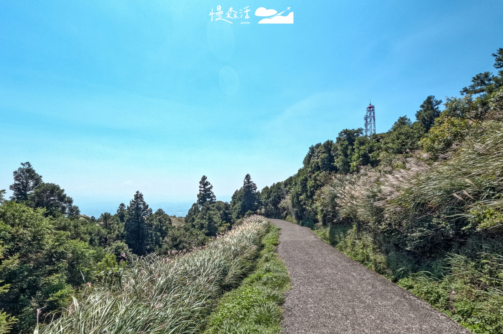 台北市士林區 七星山冷水坑步道