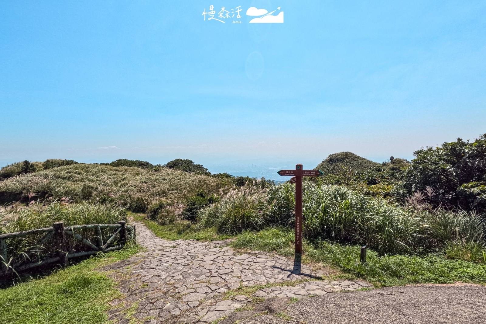 台北市士林區 七星山冷水坑步道
