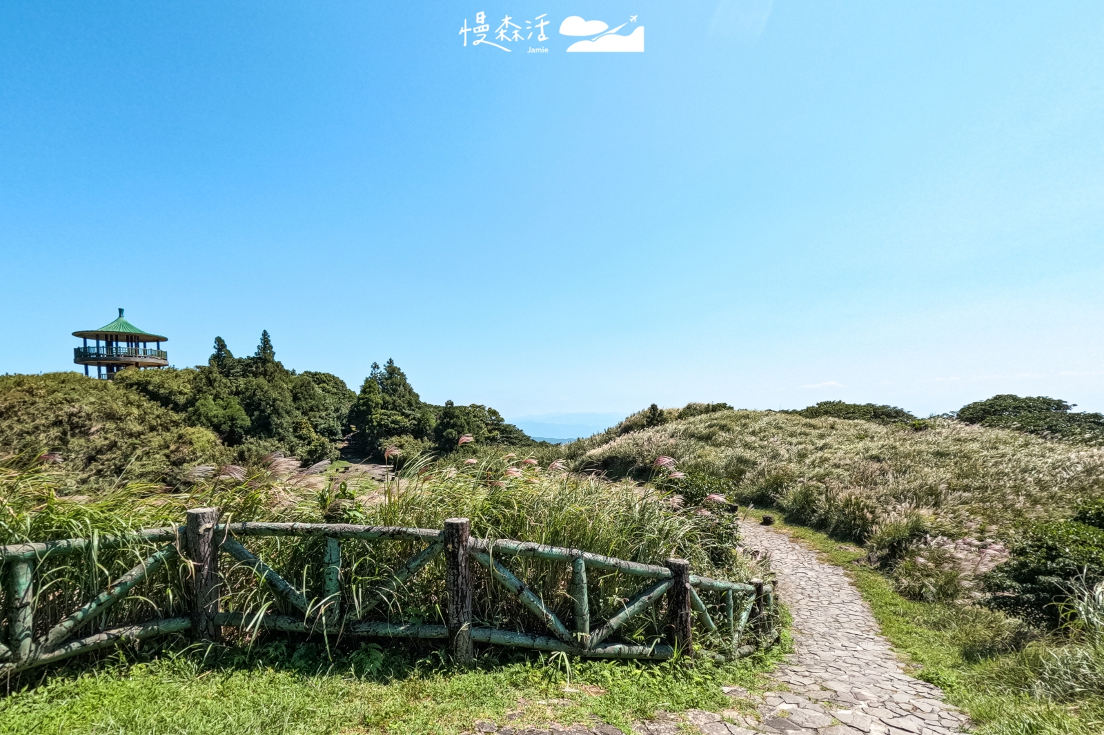 台北市士林區 七星山冷水坑步道觀景台 芒花