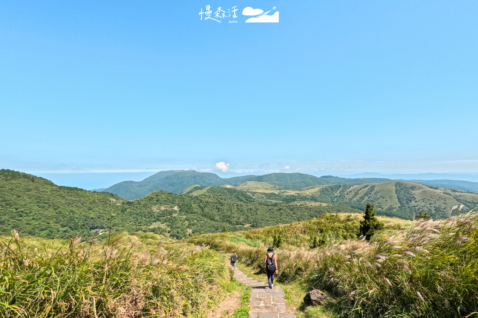 2026陽明山芒花開!七星山冷水坑步道賞芒最佳點,只要15分鐘
