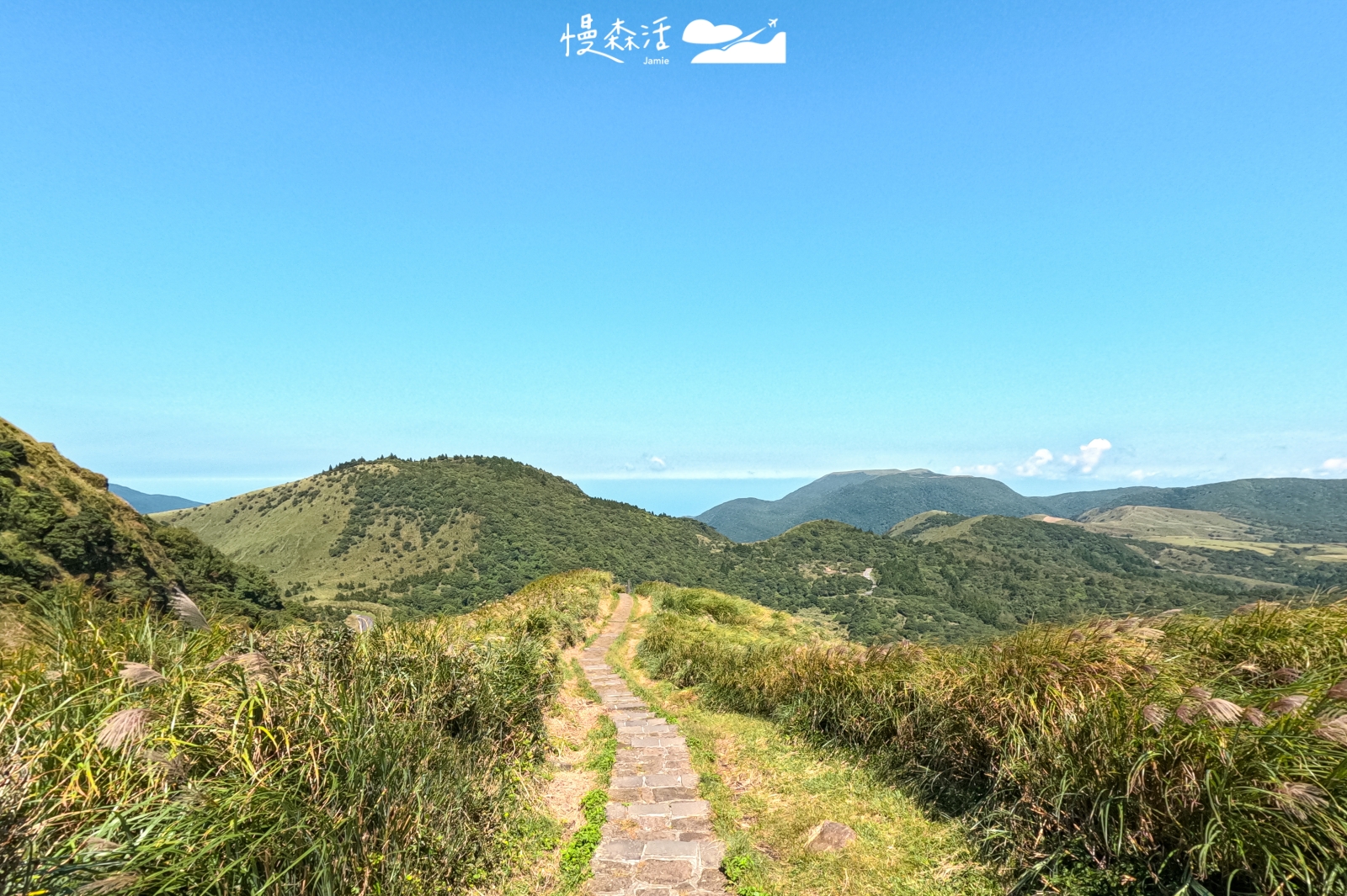 台北市士林區 七星山冷水坑步道