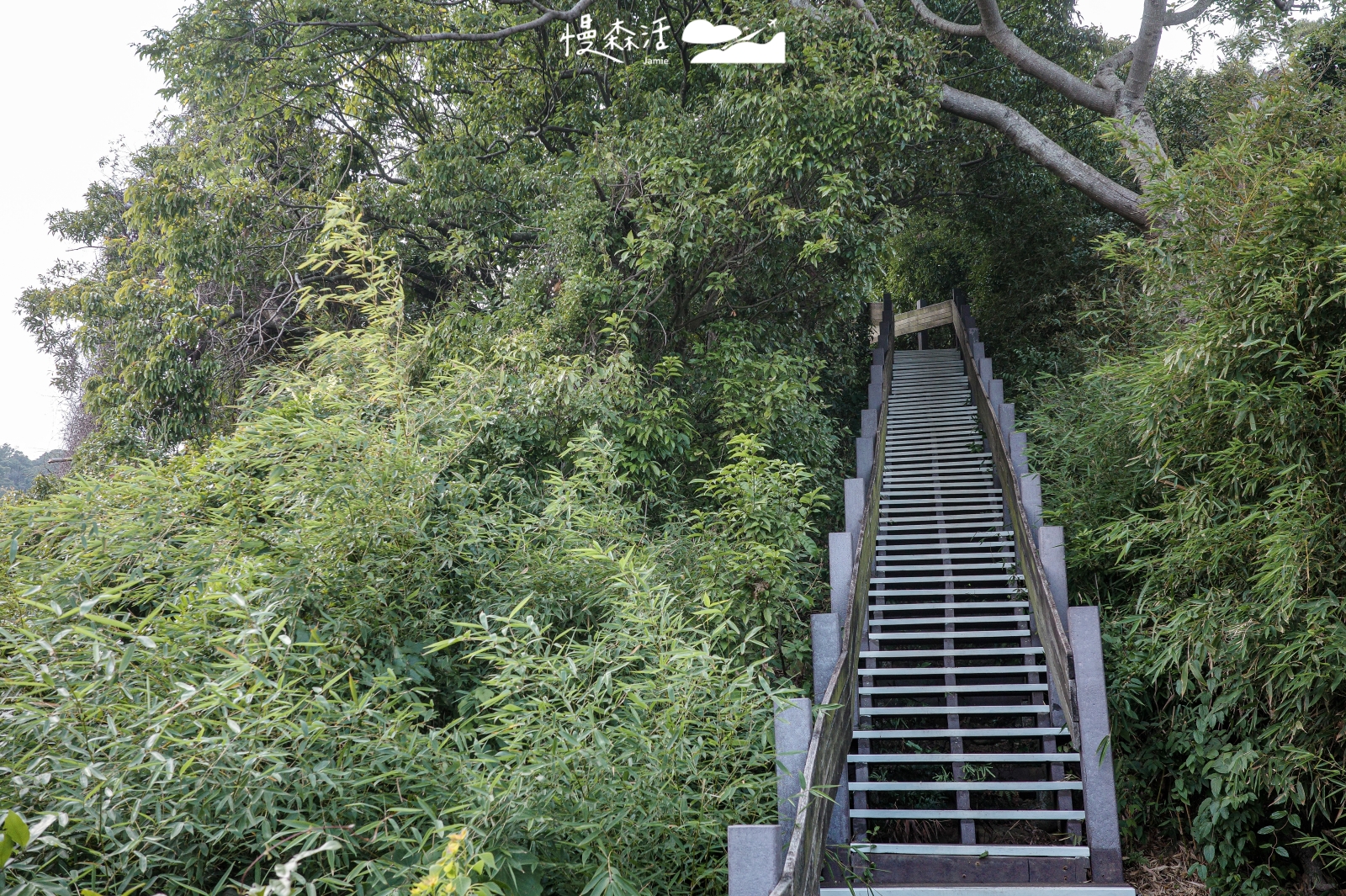 新北市泰山區 義學坑步道