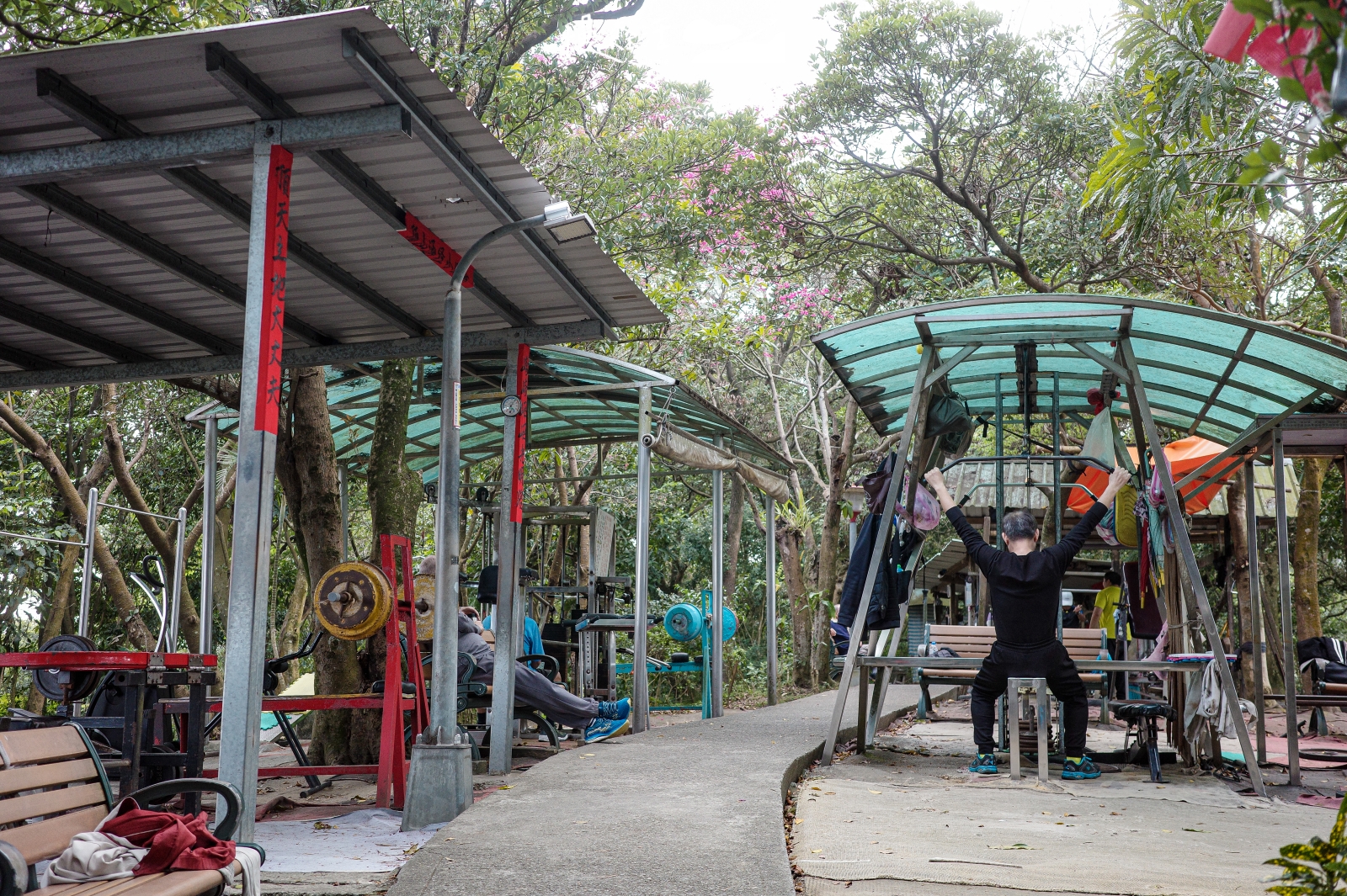 新北市泰山區 義學坑步道