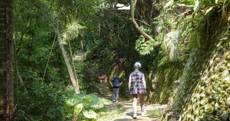 燃脂大作戰！健行新北6條親山步道，甩開中秋囤積熱量