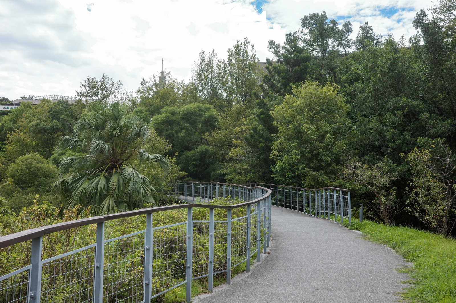 台北市信義區 永春陂生態濕地公園
