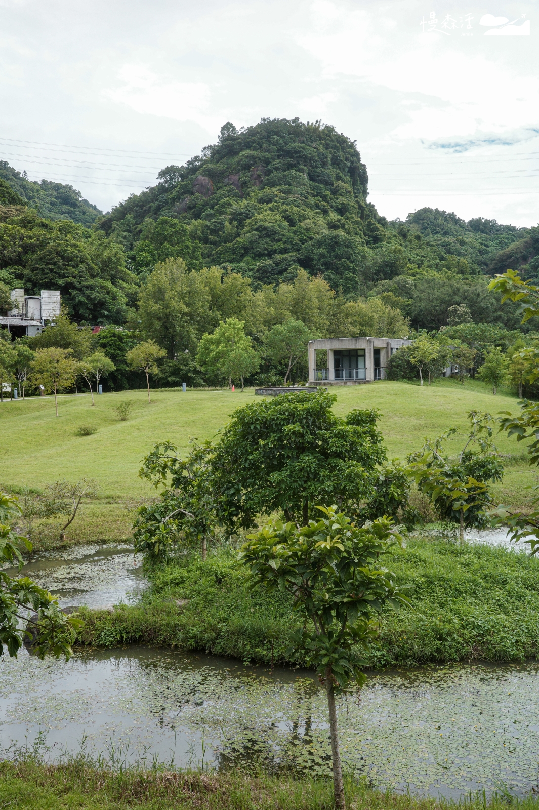 台北市信義區 永春陂生態濕地公園