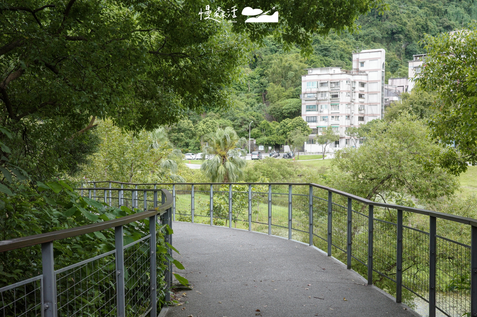 台北市信義區 永春陂生態濕地公園