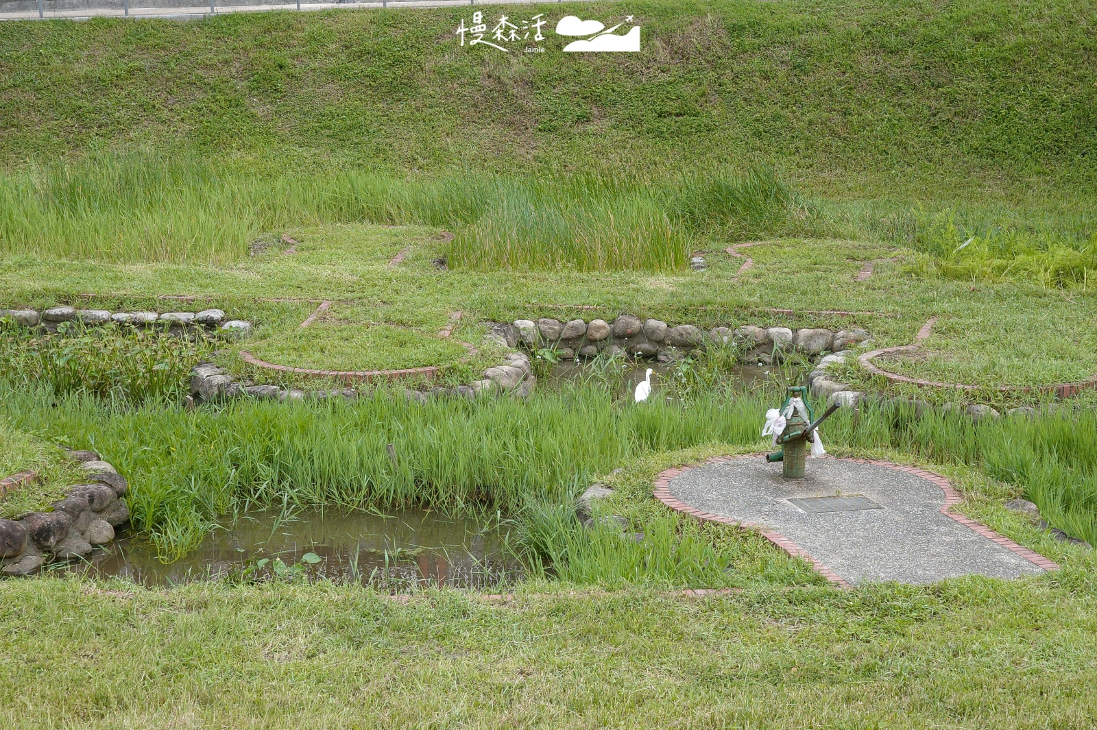 台北市信義區 永春陂生態濕地公園