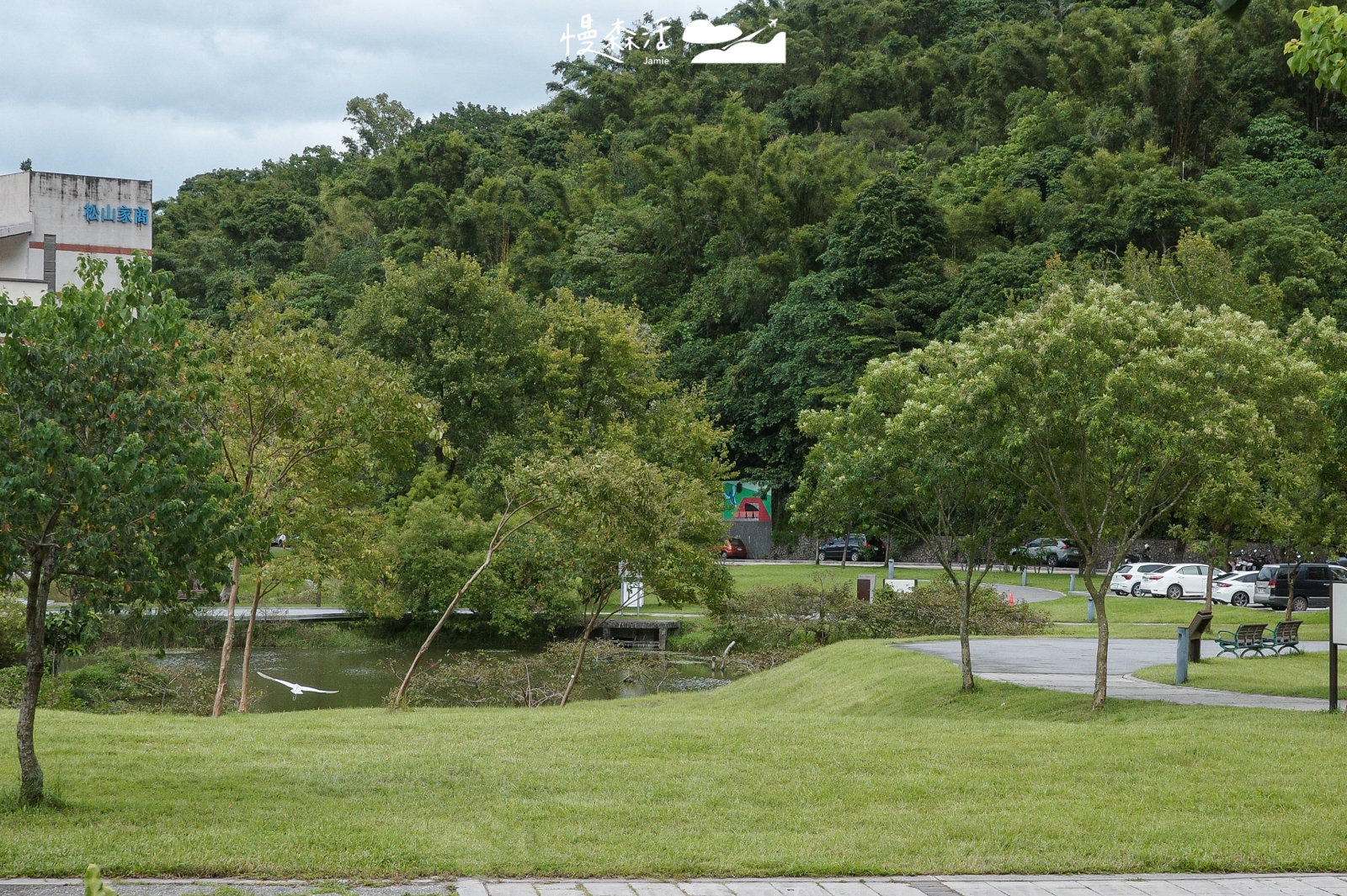 台北市信義區 永春陂生態濕地公園