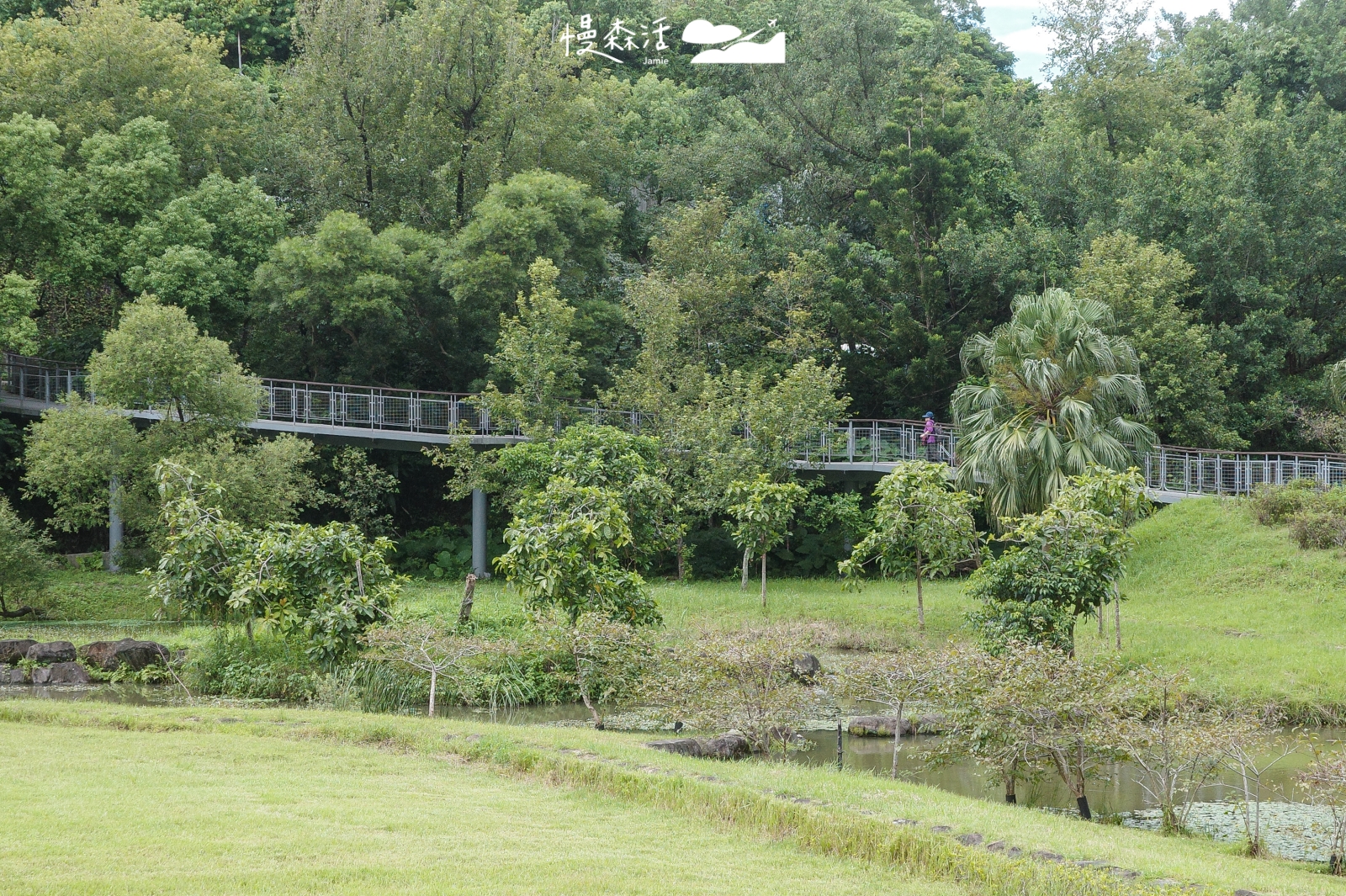 台北市信義區 永春陂生態濕地公園