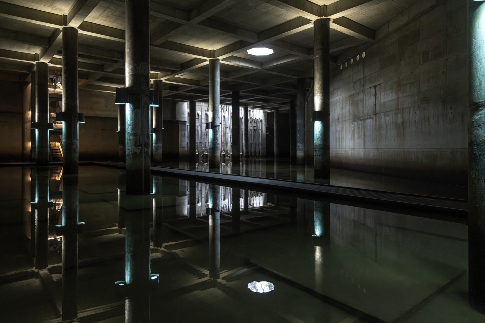桃園市桃園區 大樹林滯洪池—水の秘密基地