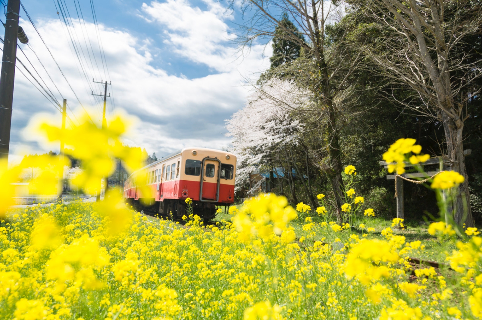 日本千葉縣 市原市小湊鉄道