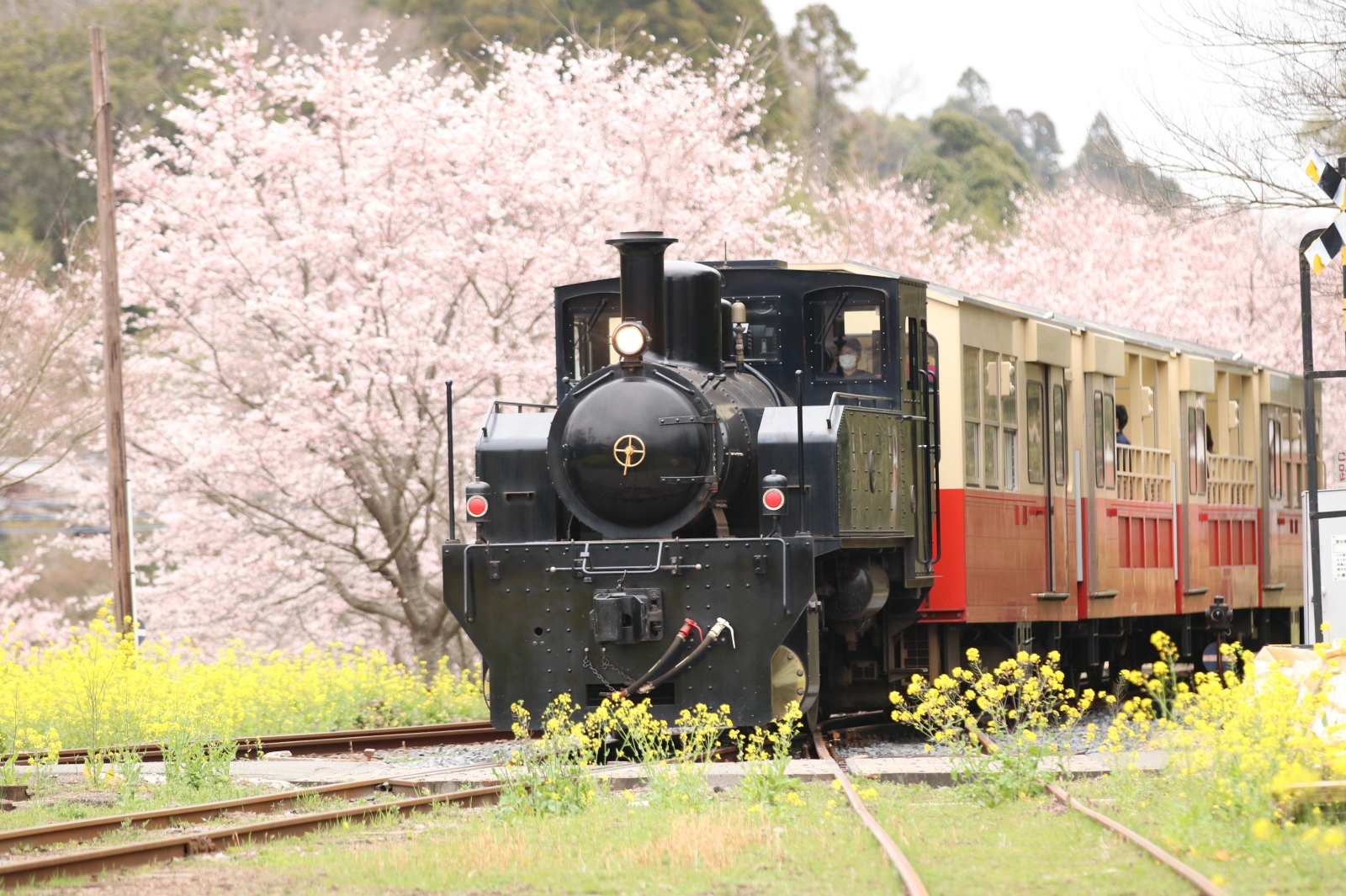 日本千葉縣 市原市 小湊鉄道
