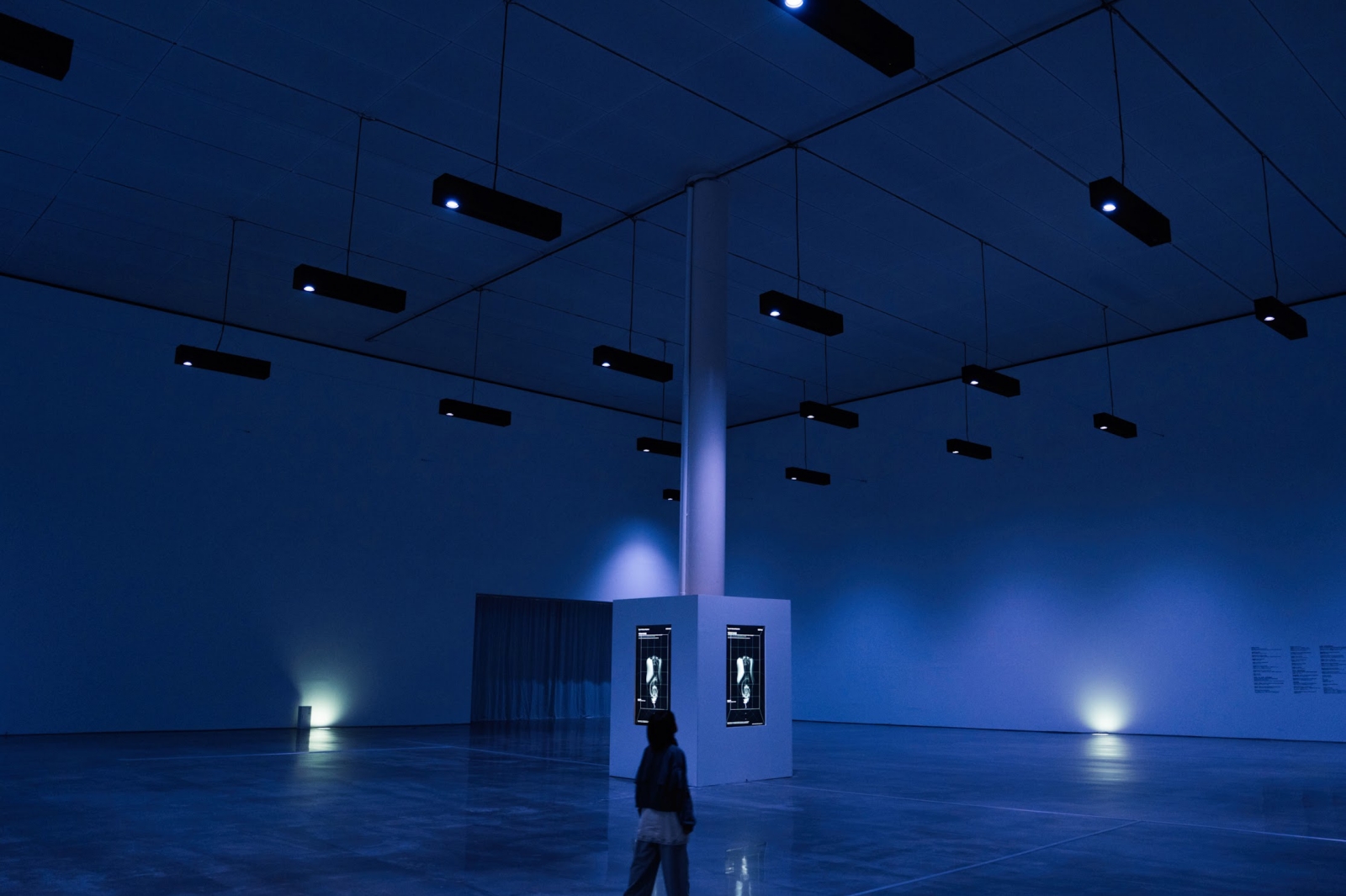 台中市立美術館 真鍋大度個展 關係時態—超越模擬的生命形式 展覽室C
