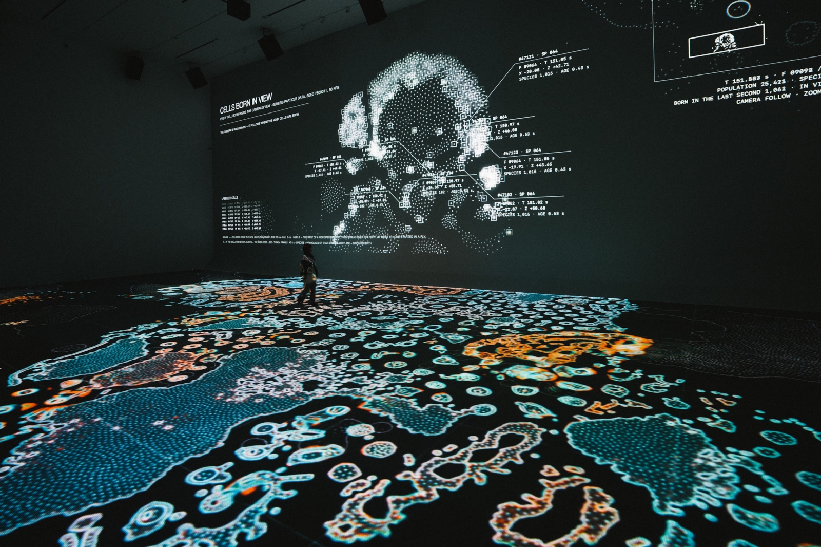 真鍋大度海外首展!中美館3展間呈現「關係時態」打開沈浸式體驗