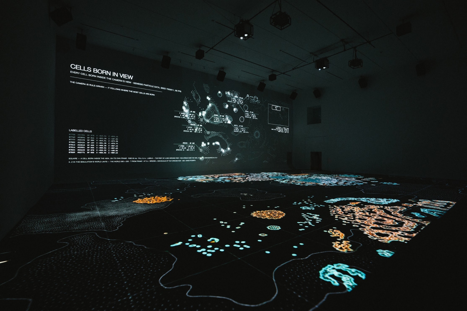 台中市立美術館 真鍋大度個展 關係時態—超越模擬的生命形式 展覽室A