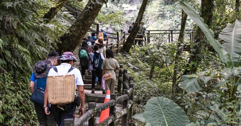 2026雙十國慶連假！13處國家森林遊樂區入園半價迎秋色